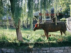 -春风习习
