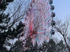 -青城公园