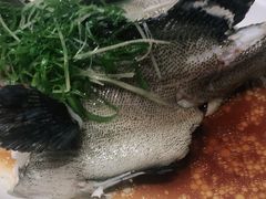 -强记海鲜·大排档(蛇口新街店)
