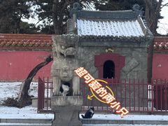 -北陵公园