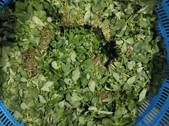 -江杨农产品批发市场