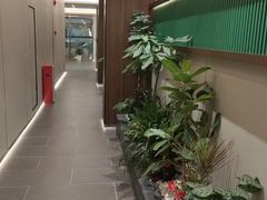 -通透堂中医·精准推拿(旗舰店)