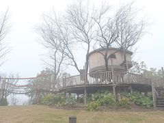 -田园东方蜜桃村的田野营地