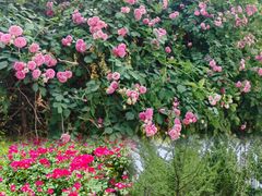 -西安汉城湖景区