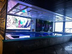 -上水温泉养生会所