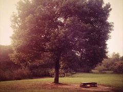 -艾溪湖湿地公园