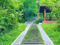 -青龙山国家森林公园