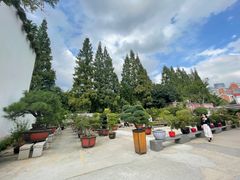 -龙华素斋(龙华路店)