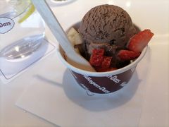 比利时巧克力冰淇淋-哈根达斯(天河城店)