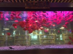 -御池园(顾村公园店)