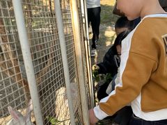 -福建鲤鱼洲酒店