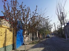 -伊犁老城喀赞其民俗旅游区
