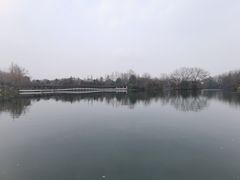 -中国茶叶博物馆(双峰馆区)
