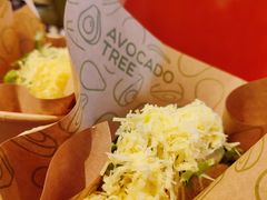 -油梨树AVOCADO TREE(嘉里中心店)
