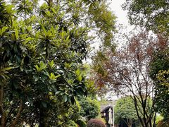 -西溪国家湿地公园