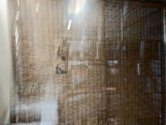 -潘苏凉茶馆(康之宝超级广场店)