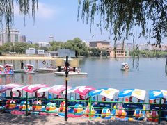 -朝阳公园游乐园