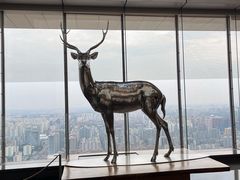-北京柏悦酒店·锦庭餐厅Dining Room