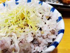 -胜博殿日式炸猪排(西红门店)