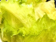 -彭记铁锅肥肠(东四总店)