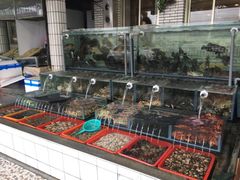 -大熊海鮮餐廳(富基漁港在地老店，僅此一家)
