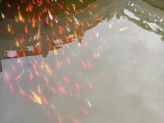 -祥源·阜阳生态乐园