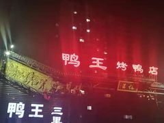 -鸭王烤鸭店(三里河店)