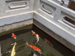 -鲤院·新中式美学·庭院餐厅(夫子庙店)