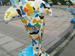 -秦皇岛乐岛海洋王国