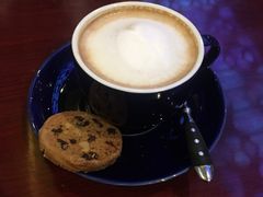 -bluefrog蓝蛙(水游城店)