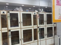 -爱洗澡的猫(天河路店)