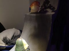 景观位-韵秋荷(宝山龙湖天街店)