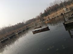 -溱湖国家湿地公园