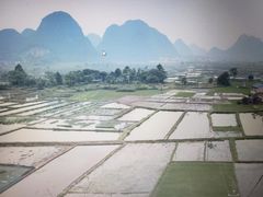 -会仙湿地