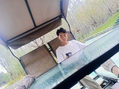 -合肥滨湖国家森林公园