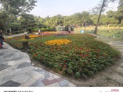 -东南花都花博园