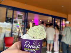 -Dooley's Premium Ice Cream