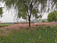 -上海山野camping·户外天幕烧烤·团建拓展营地