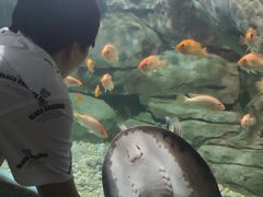 -苏州海洋馆