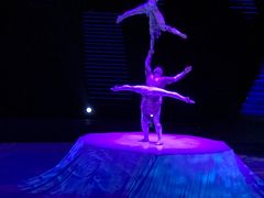 -珠海横琴长隆《卡卡虎奇遇记》