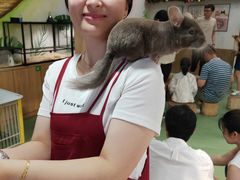 -藦茜花园宠物主题亲子互动体验馆(国顺东路店)