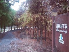 -上海海湾国家森林公园