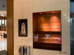 -虹桥机场国航贵宾室v8