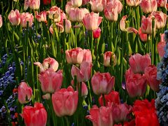 -上海浦江郊野公园·1号停车场