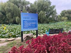 -大连海事大学-游泳馆