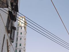 -细村农贸综合市场