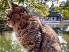 -西园戒幢律寺