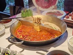 -小龙翻大江文化火锅(宽窄店)