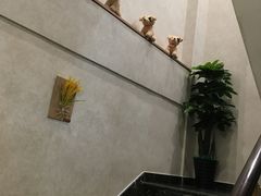 -宠爱国际动物医院·疑难骨科·心肾内科·皮肤科(太阳宫店)