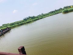 -西青郊野公园